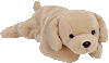 Fetch the Golden Retreiver